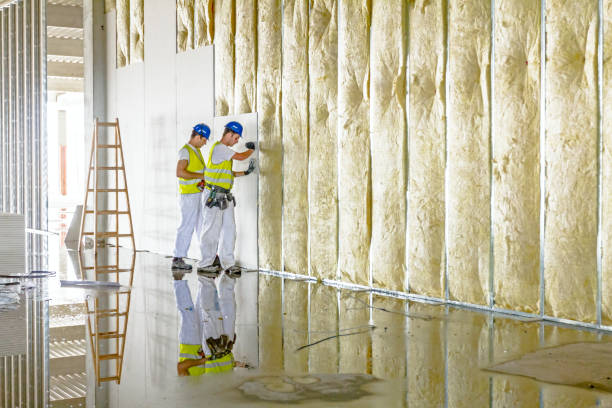 Types of Insulation We Offer in Auburndale, FL